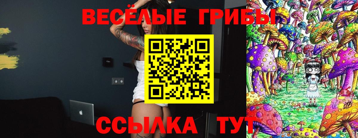 Галлюциногенные грибы мицелий  Вход с VPN  купить наркотики цена  Благодарный 
